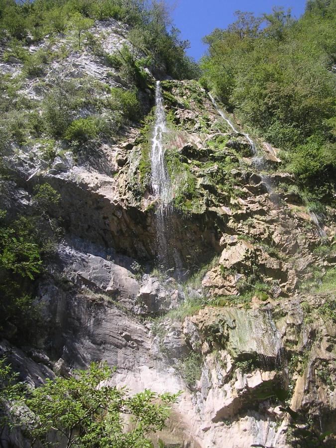 Bosco Delle Rune ..Un Angolo Di Paradiso Platischis Exterior photo