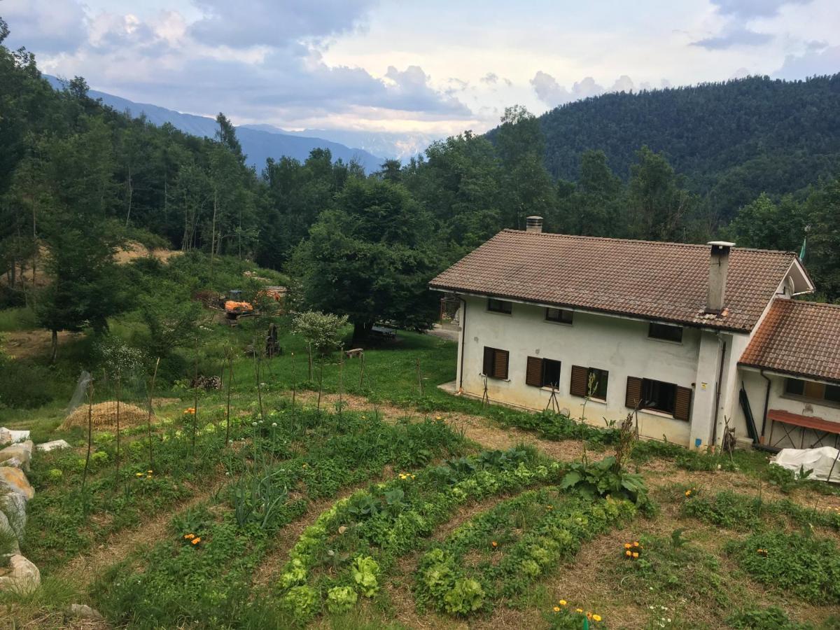 Bosco Delle Rune ..Un Angolo Di Paradiso Platischis Exterior photo