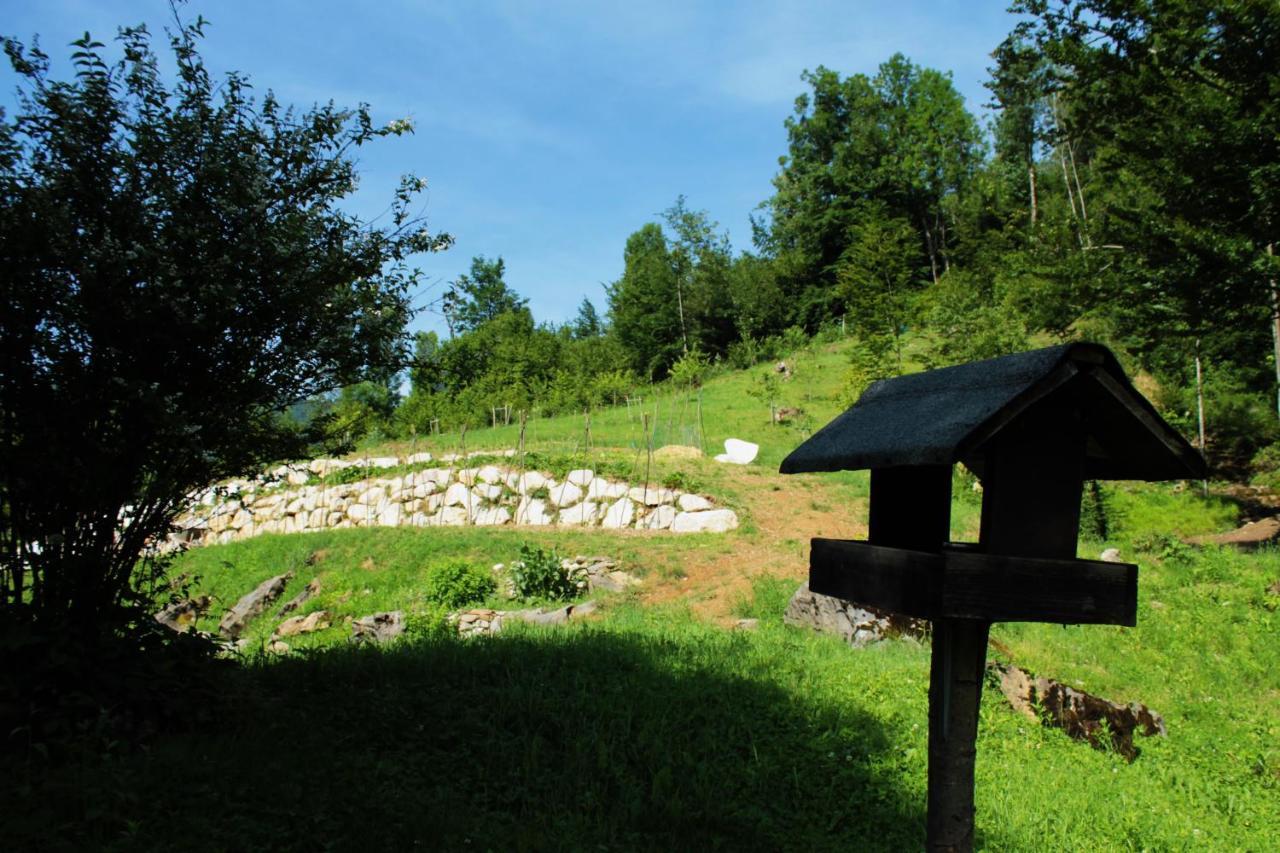 Bosco Delle Rune ..Un Angolo Di Paradiso Platischis Exterior photo